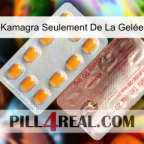 Kamagra Seulement De La Gelée new13